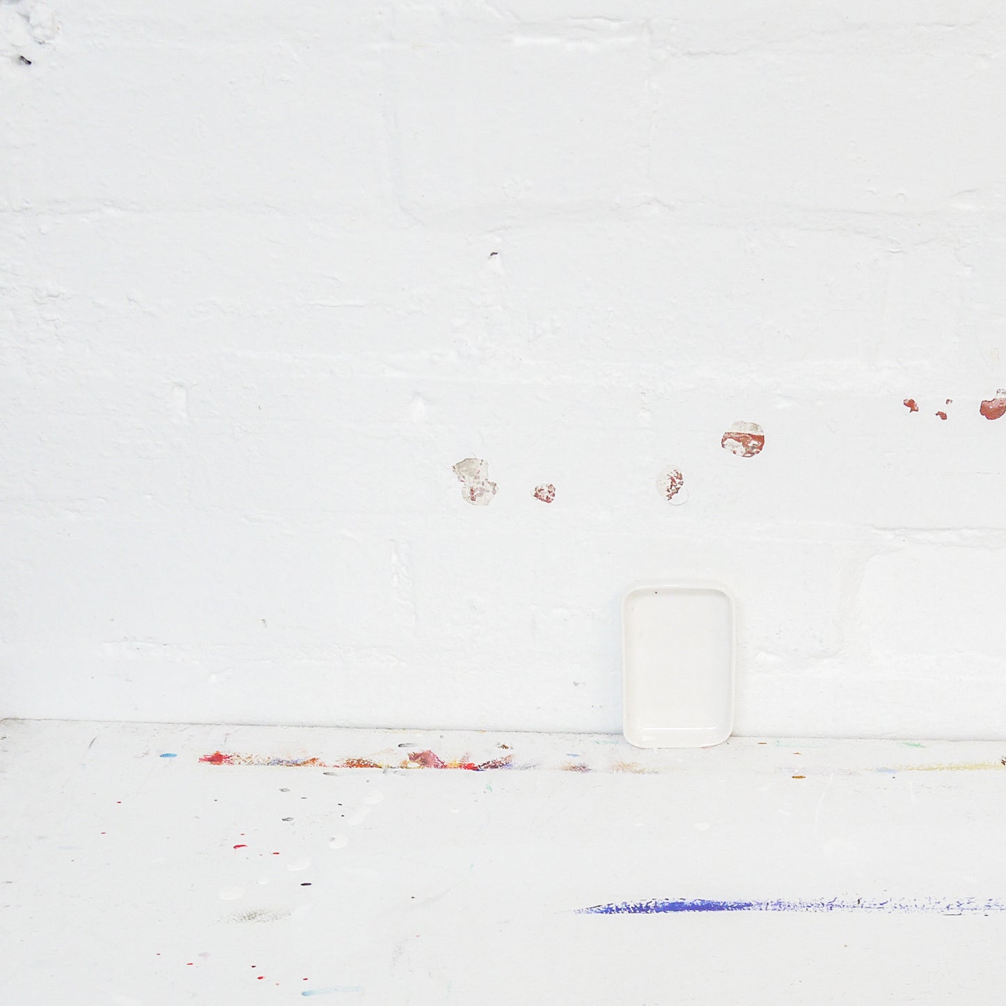 rectangular dish ~ white